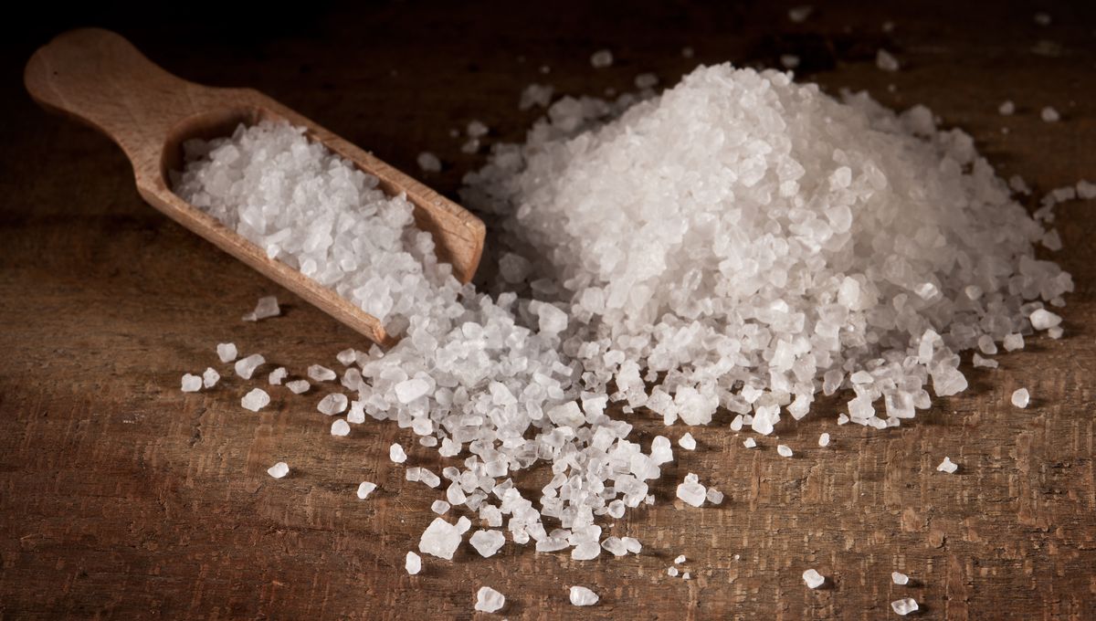 Sel Alimentaire