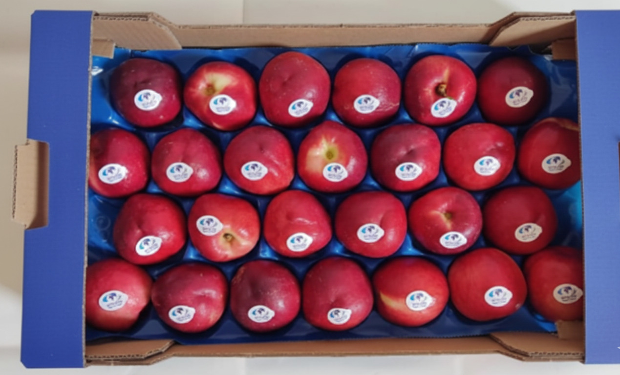 Nectarines Blanches — 2