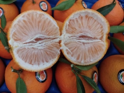 Seedless Clementine — 2