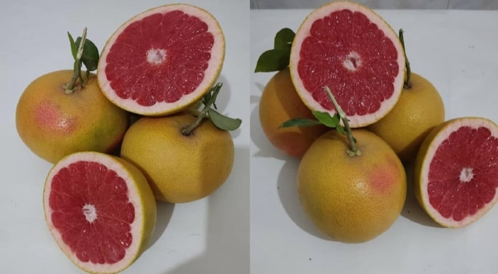 Pamplemousse