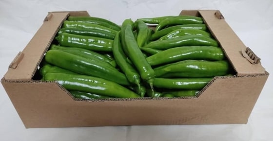 Piment Fort Vert
