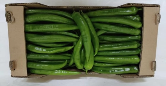 Piment Fort Vert — 2