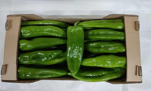 Poivron Long Doux