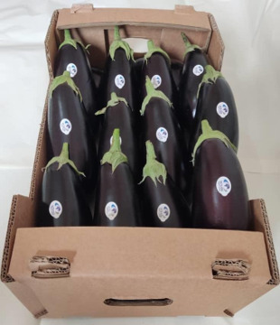 Black Eggplants — 2